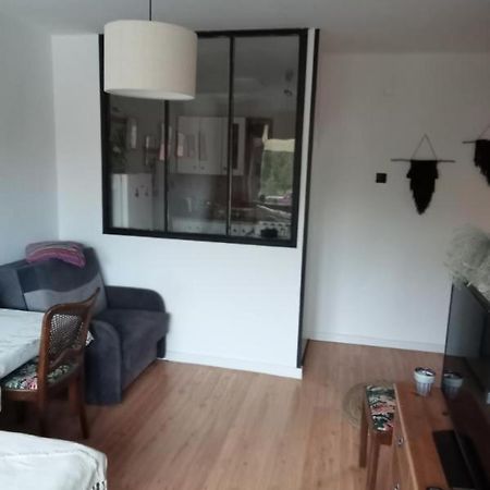 Apartament Dobre Miejsce Malbork Kültér fotó